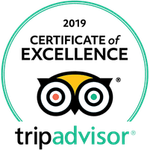 2019 certificate tripadvisor transformed transformed 1